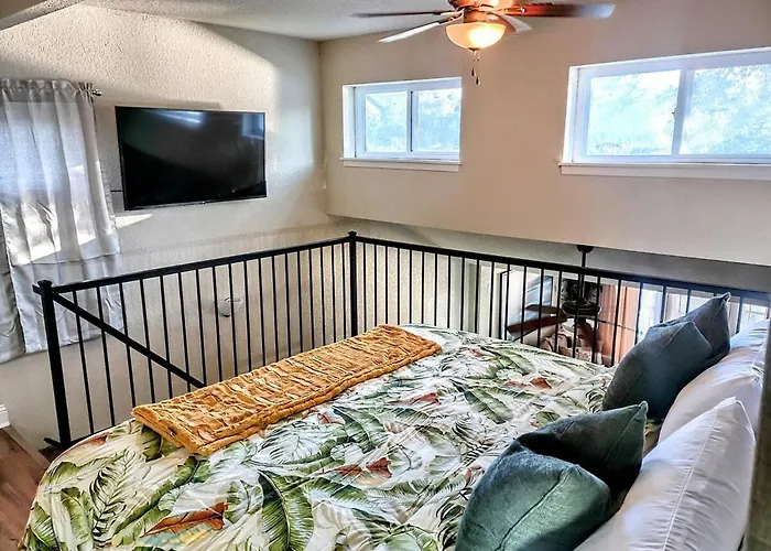 Escape To Clearwater!
